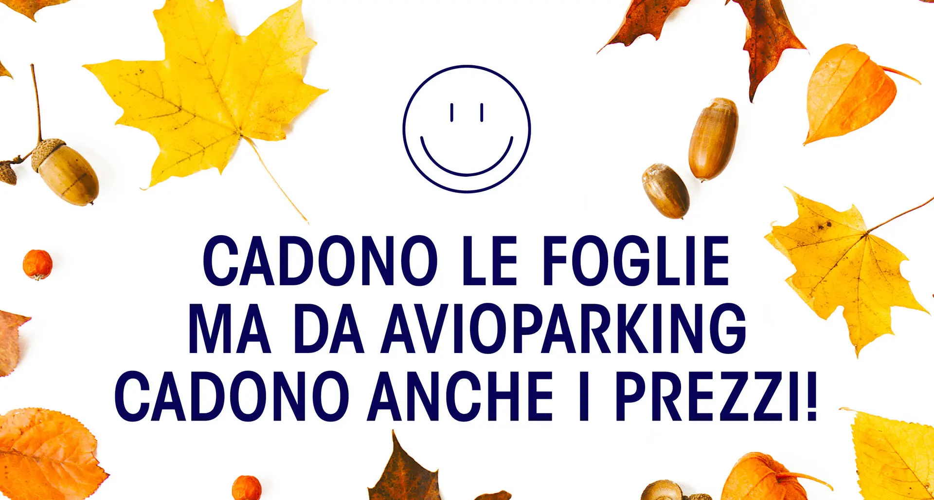 HERBST-PROMO 🍂 23 % Rabatt