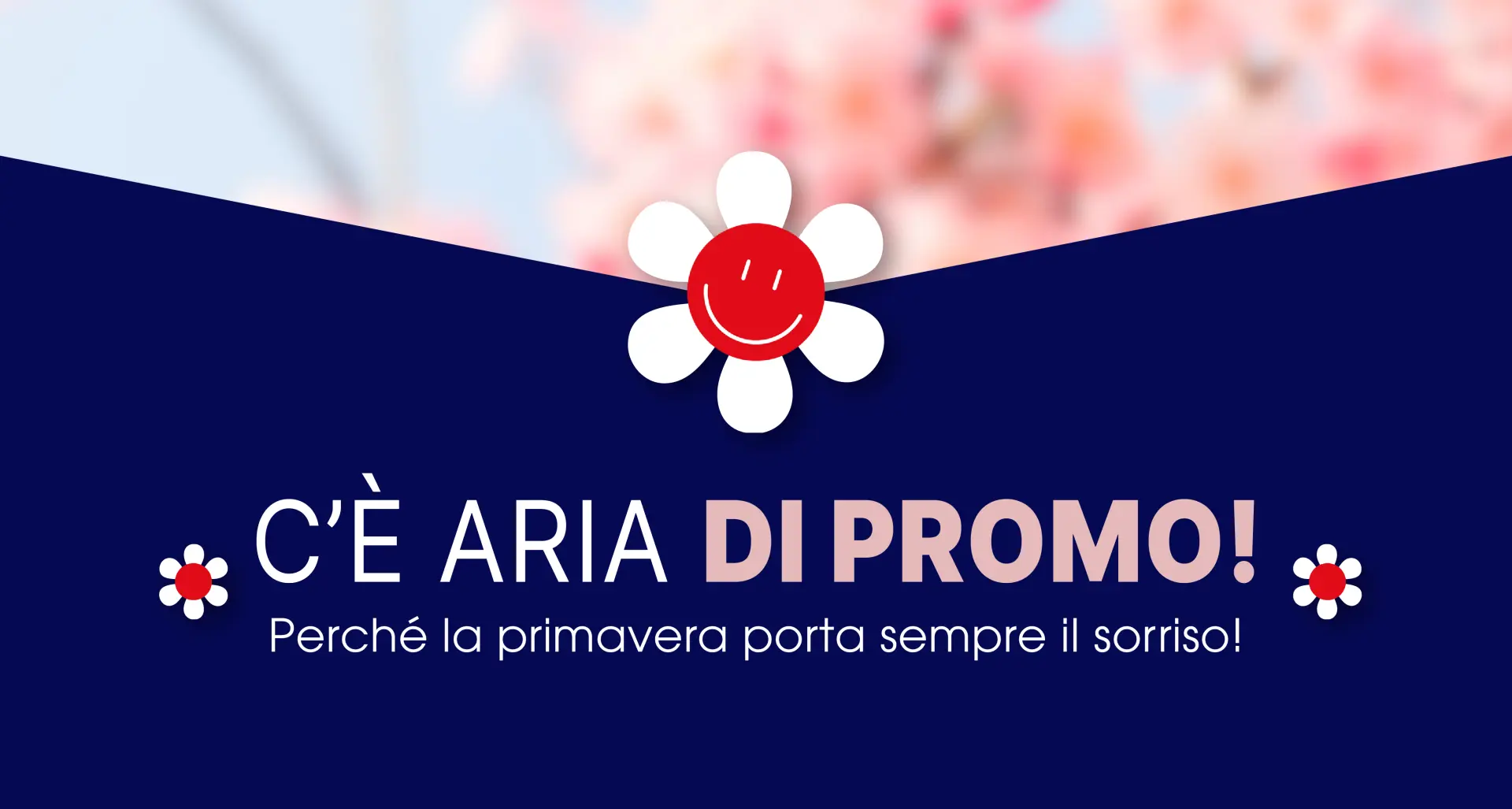FRÜHLINGS-PROMO ✨  -20 %